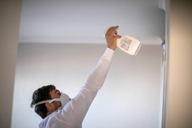 Best Commercial Mold Remediation in Sutherland, NE