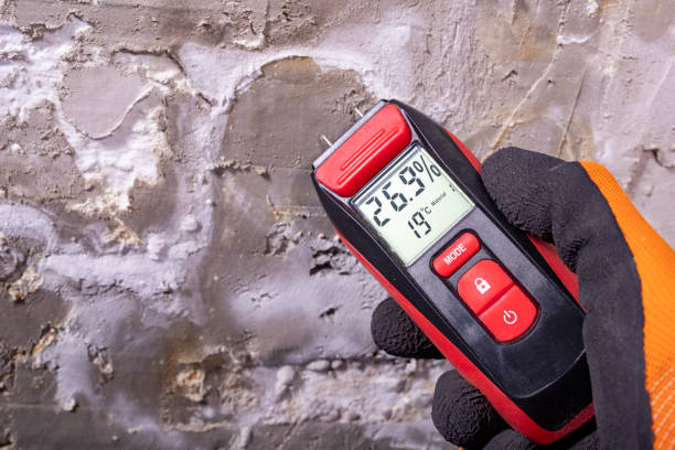 Best Bathroom Mold Remediation in Sutherland, NE