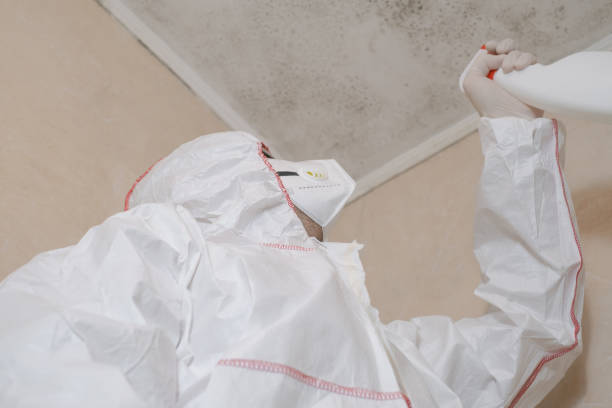 Professional Mold Remediation in Sutherland, NE